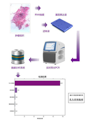 可帮基因发表最新研究成果助力肾癌精准医疗